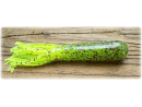 "Performance Series" Tube Bait - Lemon Melon 4"